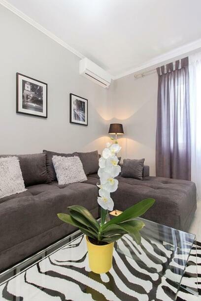 שיבניק Mandalina Suite מראה חיצוני תמונה